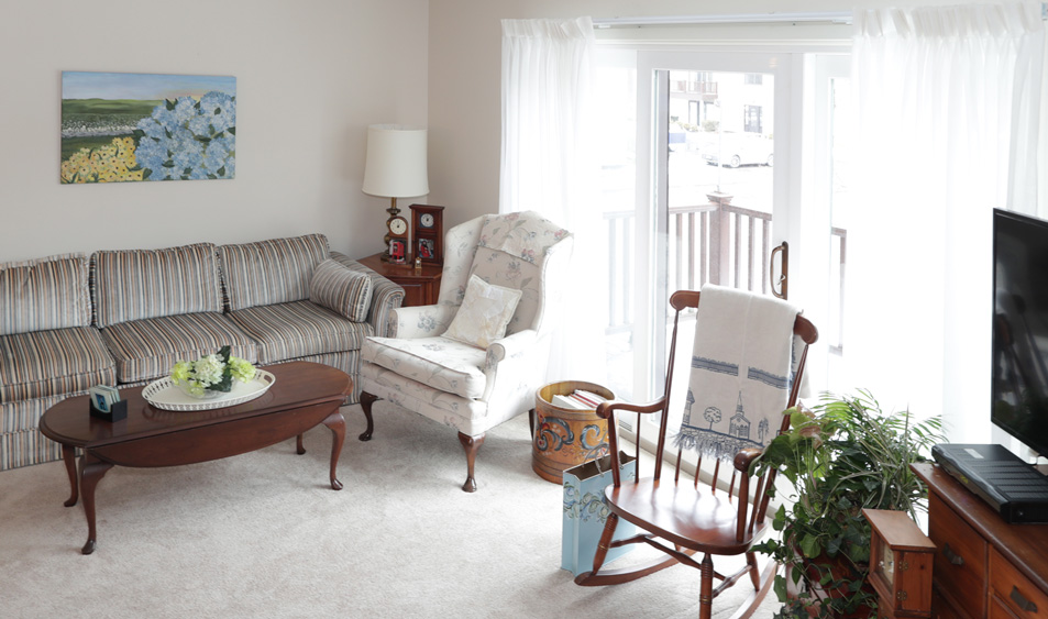 hugoApt-interior living room with furniture